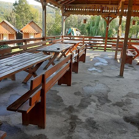 Pensiunea Codru Sălciua de Jos 外观 照片