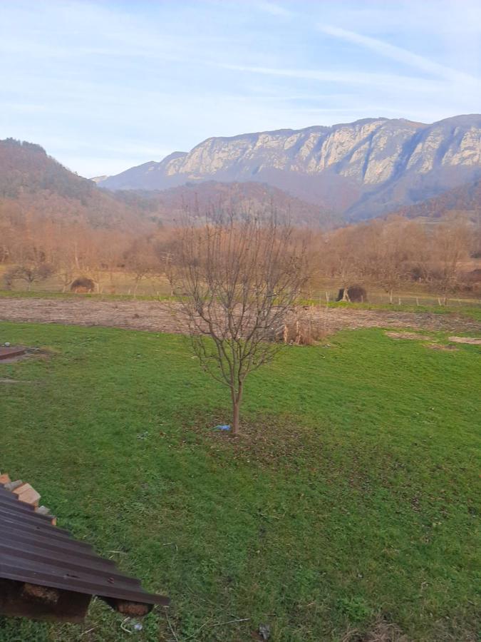 Pensiunea Codru Sălciua de Jos 外观 照片
