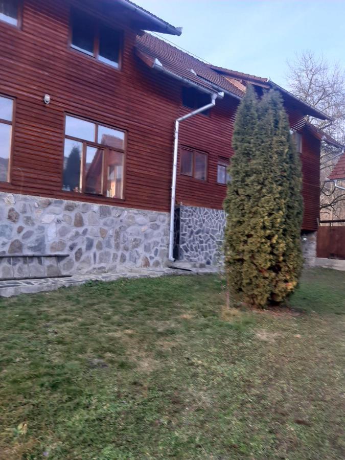 Pensiunea Codru Sălciua de Jos 外观 照片