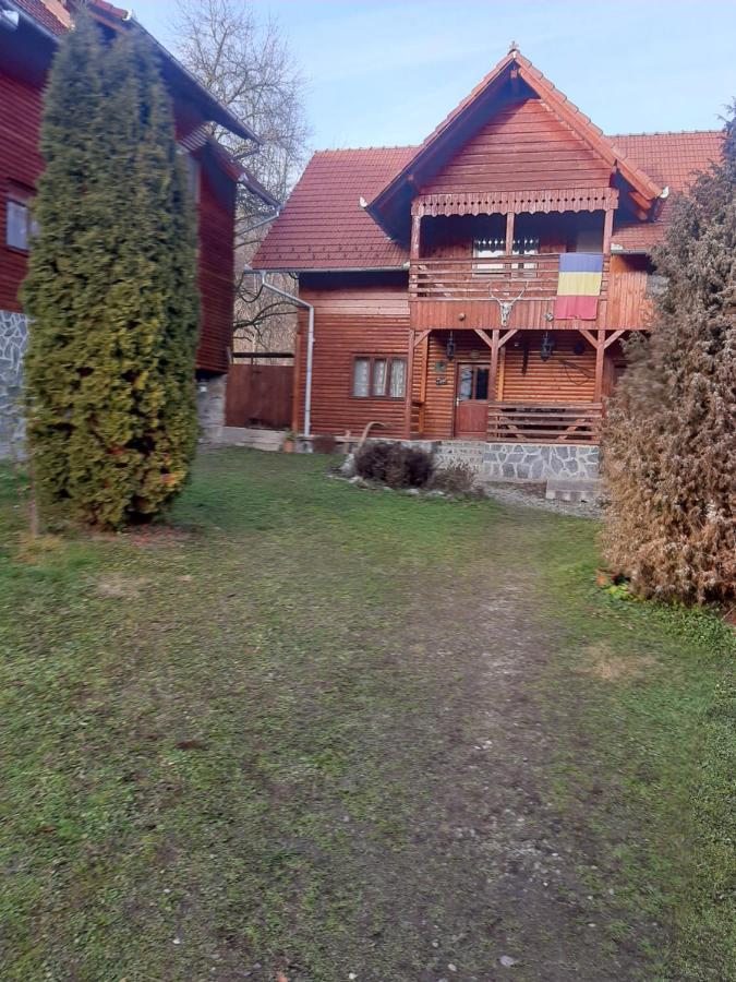 Pensiunea Codru Sălciua de Jos 外观 照片