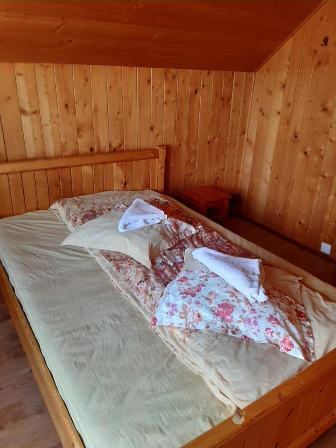 Pensiunea Codru Sălciua de Jos 外观 照片