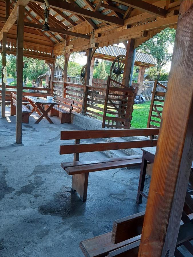 Pensiunea Codru Sălciua de Jos 外观 照片