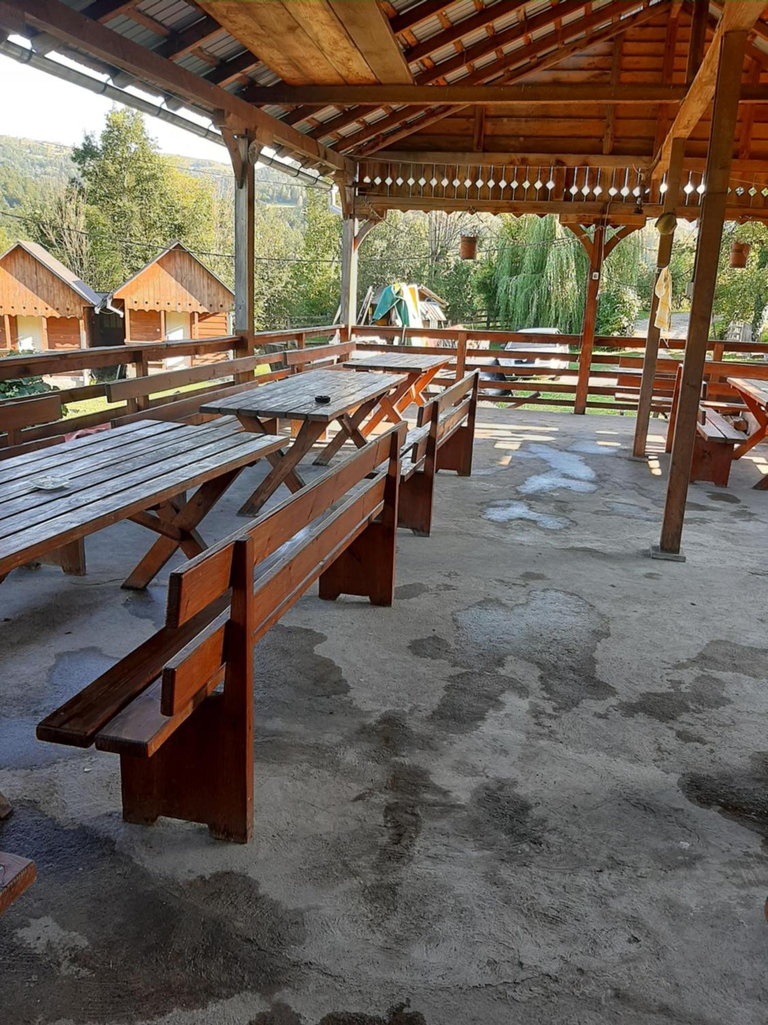 Pensiunea Codru Sălciua de Jos 外观 照片